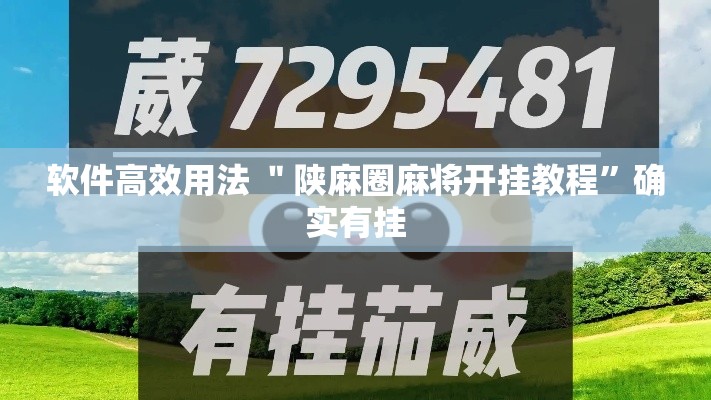 软件高效用法 ＂陕麻圈麻将开挂教程	”确实有挂