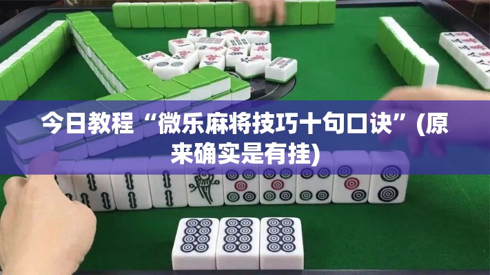 今日教程“微乐麻将技巧十句口诀”(原来确实是有挂)