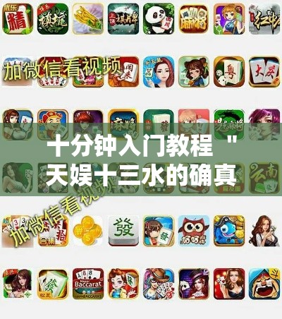 十分钟入门教程 ＂天娱十三水的确真的有辅助神器	”揭秘透视辅助万能挂