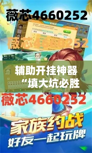 辅助开挂神器“填大坑必胜法原理”开挂辅助软件教程