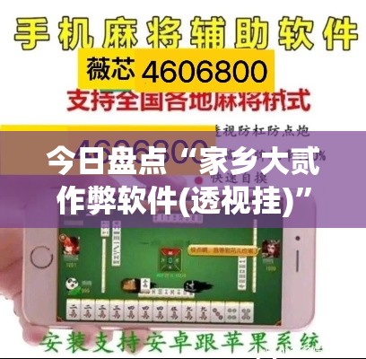 今日盘点“家乡大贰作弊软件(透视挂)”可以开挂作弊