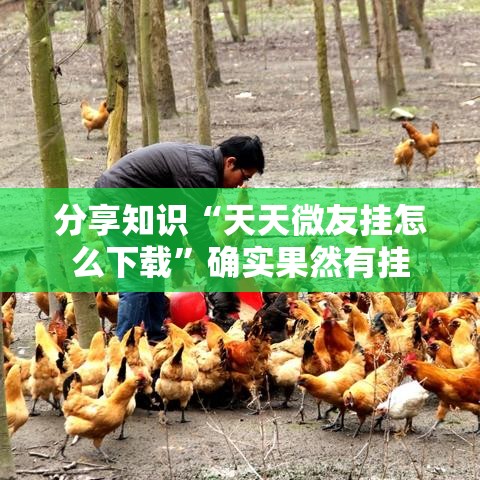 分享知识“天天微友挂怎么下载”确实果然有挂