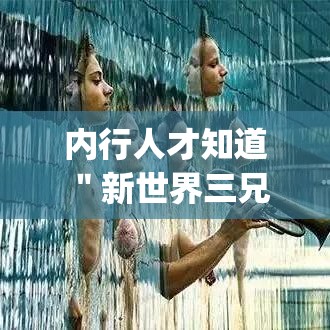 内行人才知道 ＂新世界三兄弟谁赢了”(果然有透视挂)
