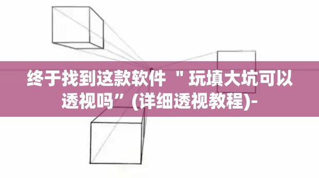 终于找到这款软件 ＂玩填大坑可以透视吗”(详细透视教程)-