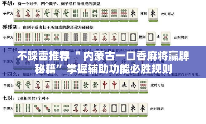 不踩雷推荐 ＂内蒙古一口香麻将赢牌秘籍	”掌握辅助功能必胜规则