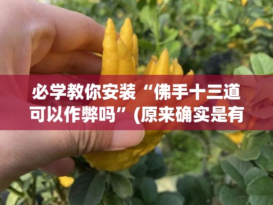 必学教你安装“佛手十三道可以作弊吗”(原来确实是有挂)