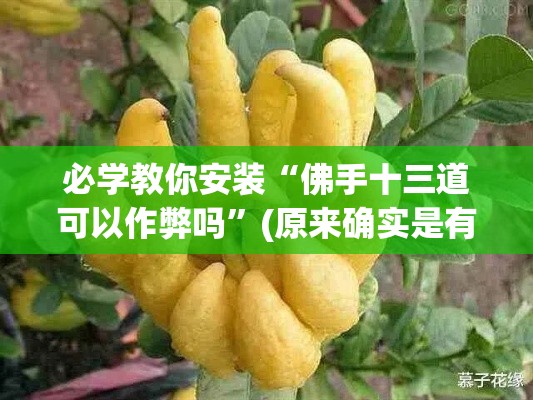 必学教你安装“佛手十三道可以作弊吗”(原来确实是有挂)