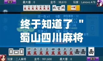 终于知道了 ＂蜀山四川麻将赢分秘诀”(透视)辅助透视教程