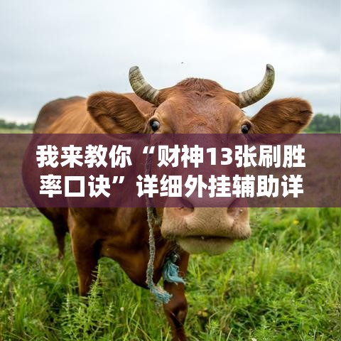 我来教你“财神13张刷胜率口诀”详细外挂辅助详细教程