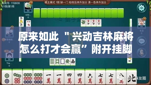 原来如此 ＂兴动吉林麻将怎么打才会赢”附开挂脚本详细教程