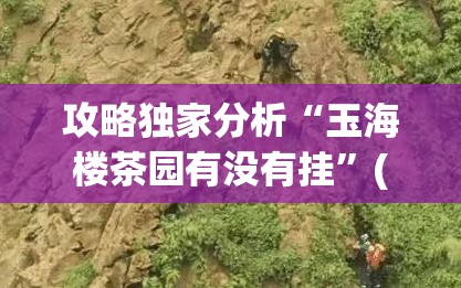 攻略独家分析“玉海楼茶园有没有挂”(外卦神器下载)