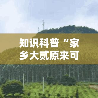 知识科普“家乡大贰原来可以开挂”事实上真的有挂
