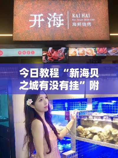 今日教程“新海贝之城有没有挂”附开挂脚本