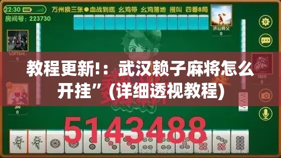 教程更新!：武汉赖子麻将怎么开挂	”(详细透视教程)