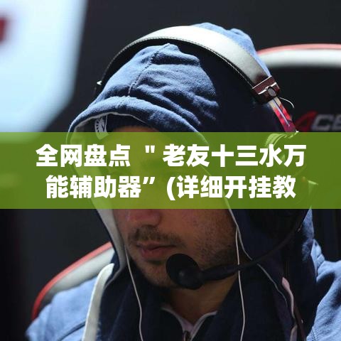 全网盘点 ＂老友十三水万能辅助器”(详细开挂教程)