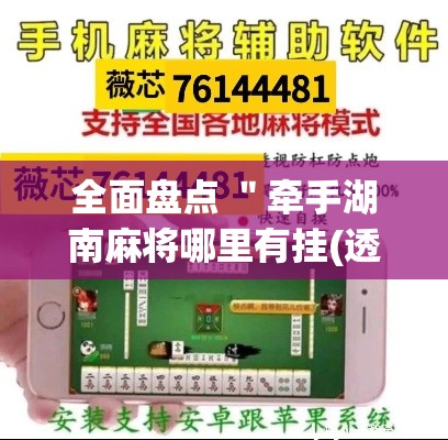 全面盘点 ＂牵手湖南麻将哪里有挂(透视)”开挂(透视)辅助教程