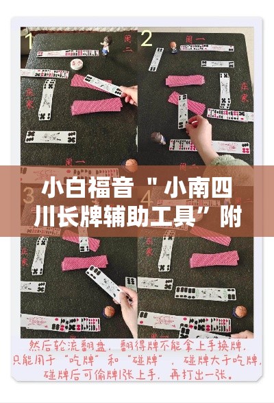 小白福音 ＂小南四川长牌辅助工具”附开挂脚本详细步骤