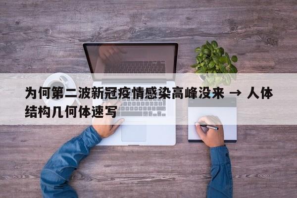 为何第二波新冠疫情感染高峰没来 → 人体结构几何体速写