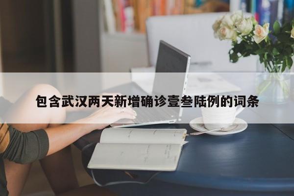 包含武汉两天新增确诊壹叁陆例的词条