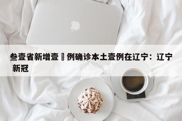 叁壹省新增壹無例确诊本土壹例在辽宁：辽宁 新冠