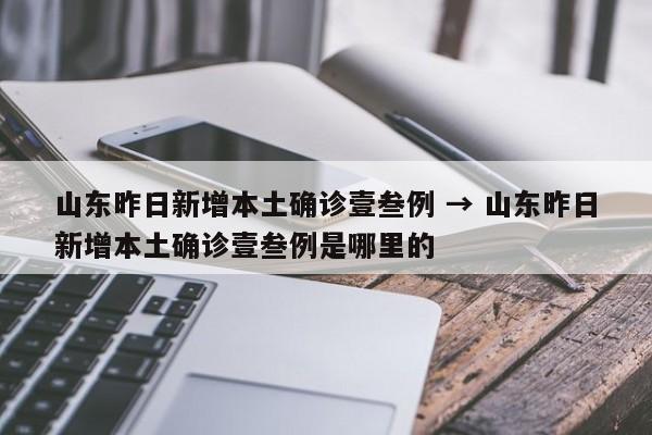 山东昨日新增本土确诊壹叁例 → 山东昨日新增本土确诊壹叁例是哪里的