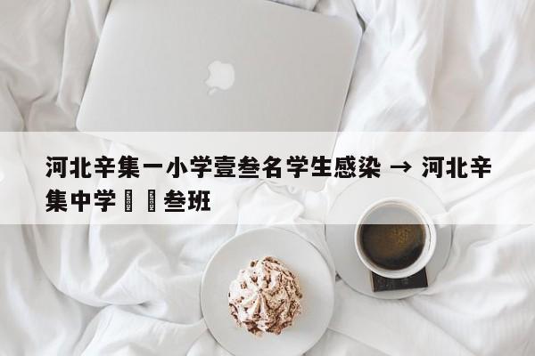 河北辛集一小学壹叁名学生感染 → 河北辛集中学無無叁班