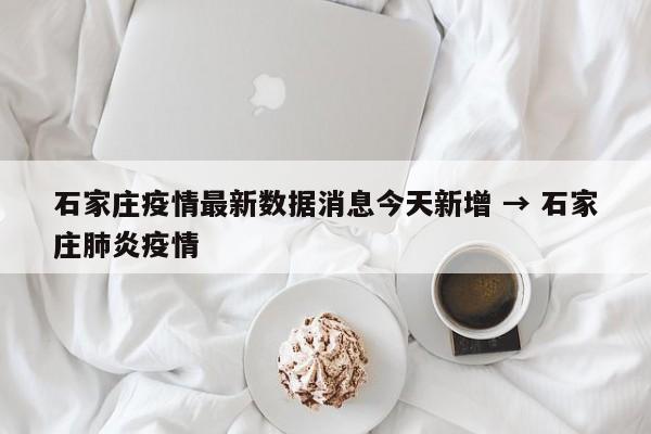 石家庄疫情最新数据消息今天新增 → 石家庄肺炎疫情