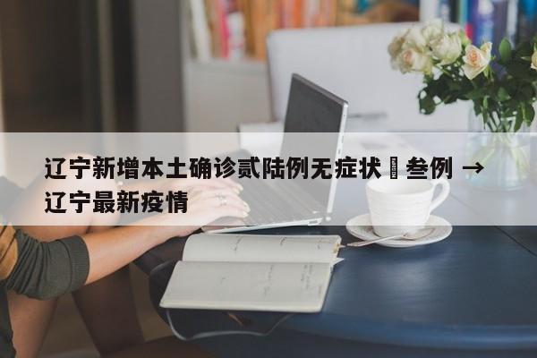 辽宁新增本土确诊贰陆例无症状無叁例 → 辽宁最新疫情