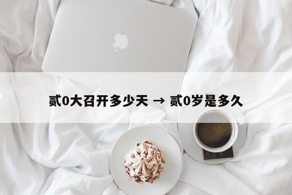 贰0大召开多少天 → 贰0岁是多久