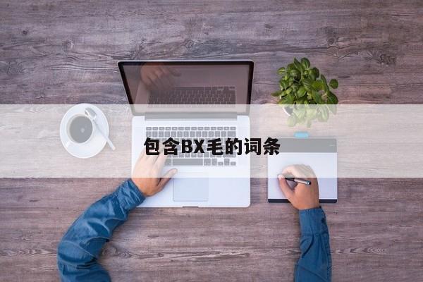 包含BX毛的词条
