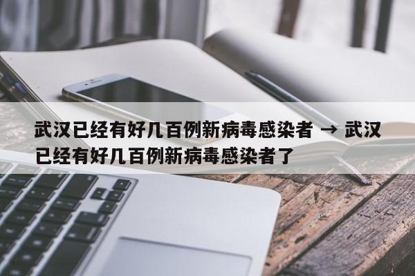 武汉已经有好几百例新病毒感染者 → 武汉已经有好几百例新病毒感染者了