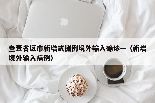叁壹省区市新增贰捌例境外输入确诊—（新增境外输入病例）