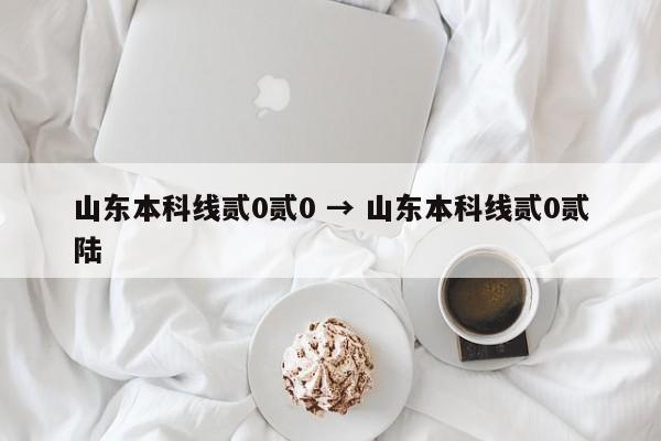 山东本科线贰0贰0 → 山东本科线贰0贰陆