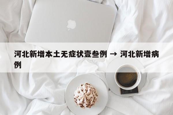 河北新增本土无症状壹叁例 → 河北新增病例
