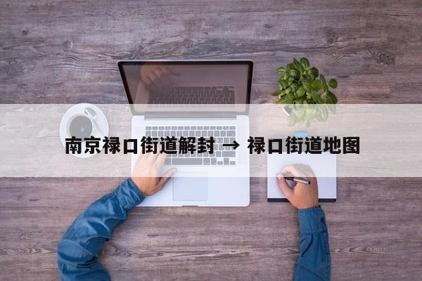 南京禄口街道解封 → 禄口街道地图
