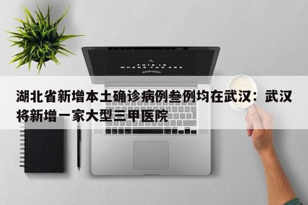 湖北省新增本土确诊病例叁例均在武汉：武汉将新增一家大型三甲医院