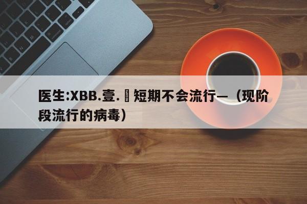 医生:XBB.壹.無短期不会流行—（现阶段流行的病毒）